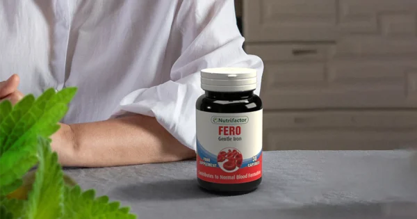 Fero Gentle Iron - Image 3