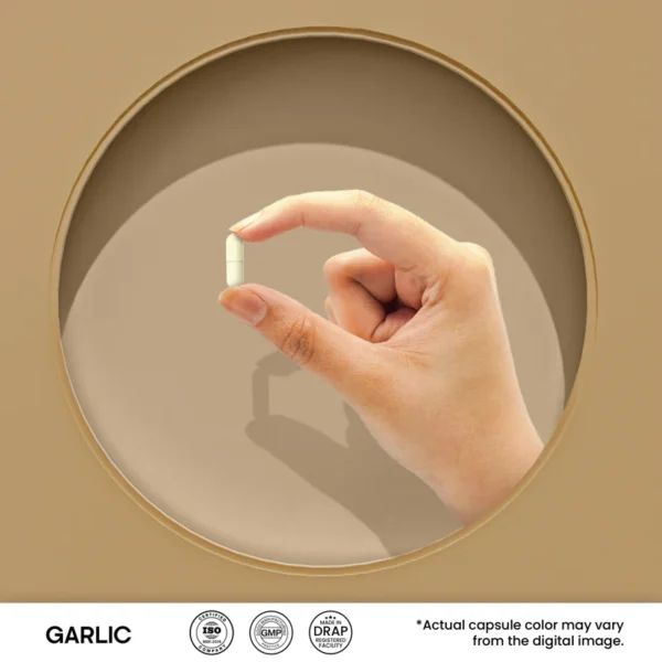 Garlic - Image 4