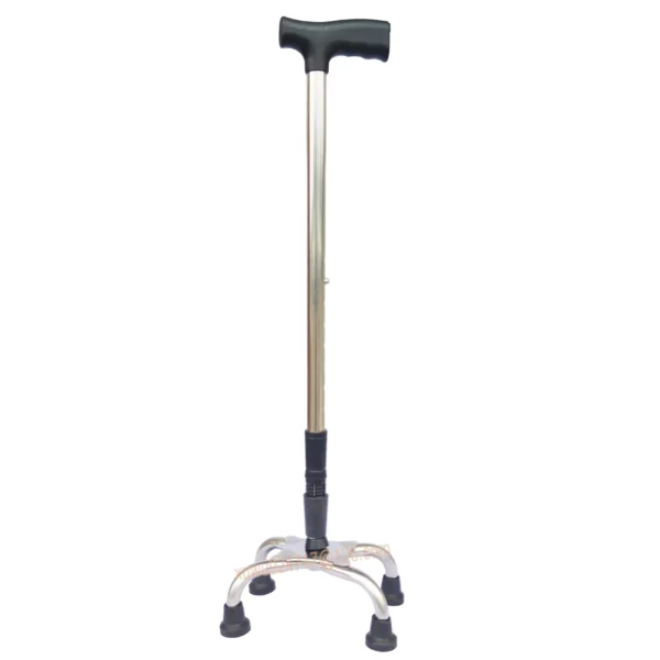 Walking Stick Four Pad