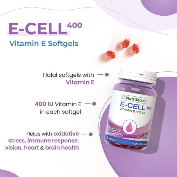 E-Cell 400 - Image 5