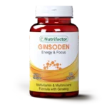 Ginsoden