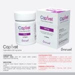 Capixet 500mg Tablet (Capecitabine) original chemotherapy medicine used for breast, colorectal, and stomach cancer treatment in Pakistan